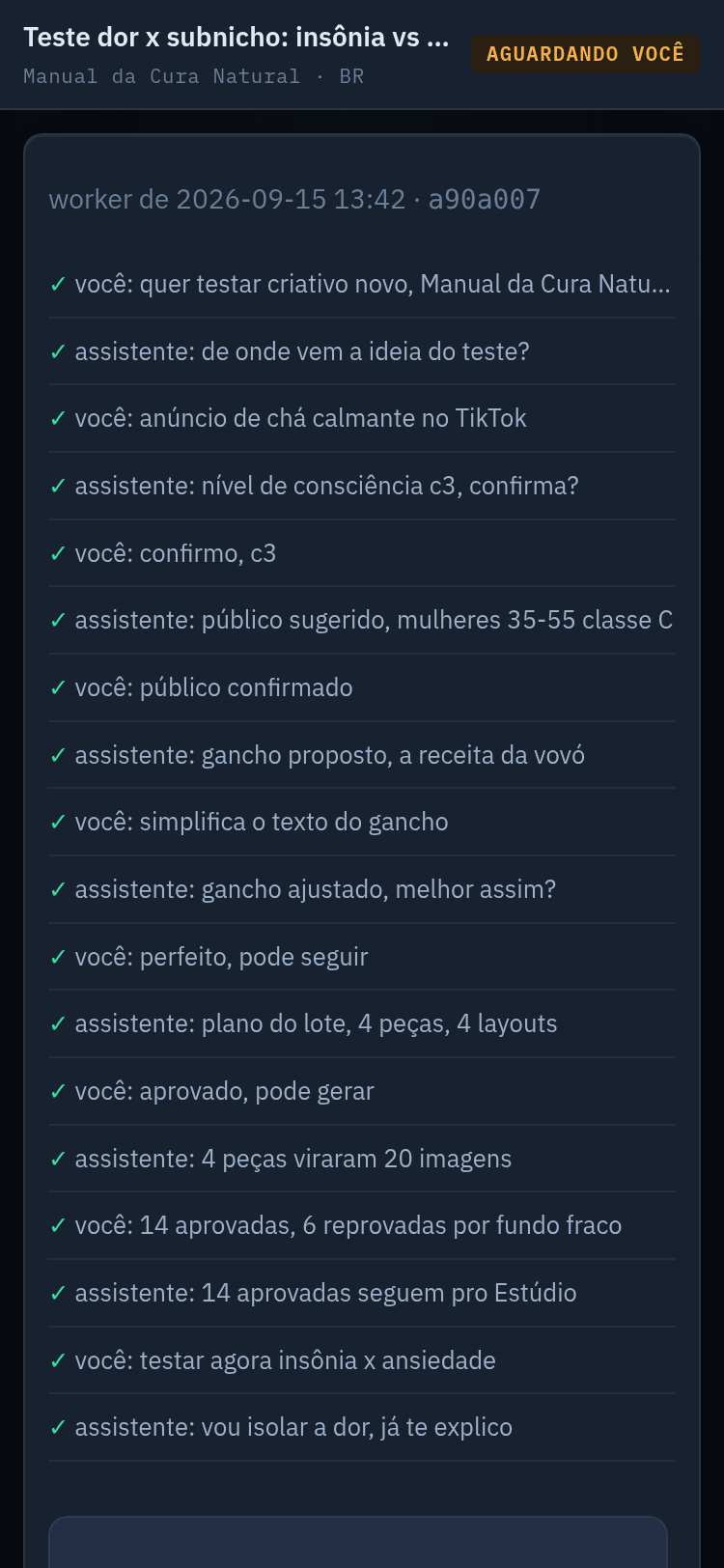 opção 5